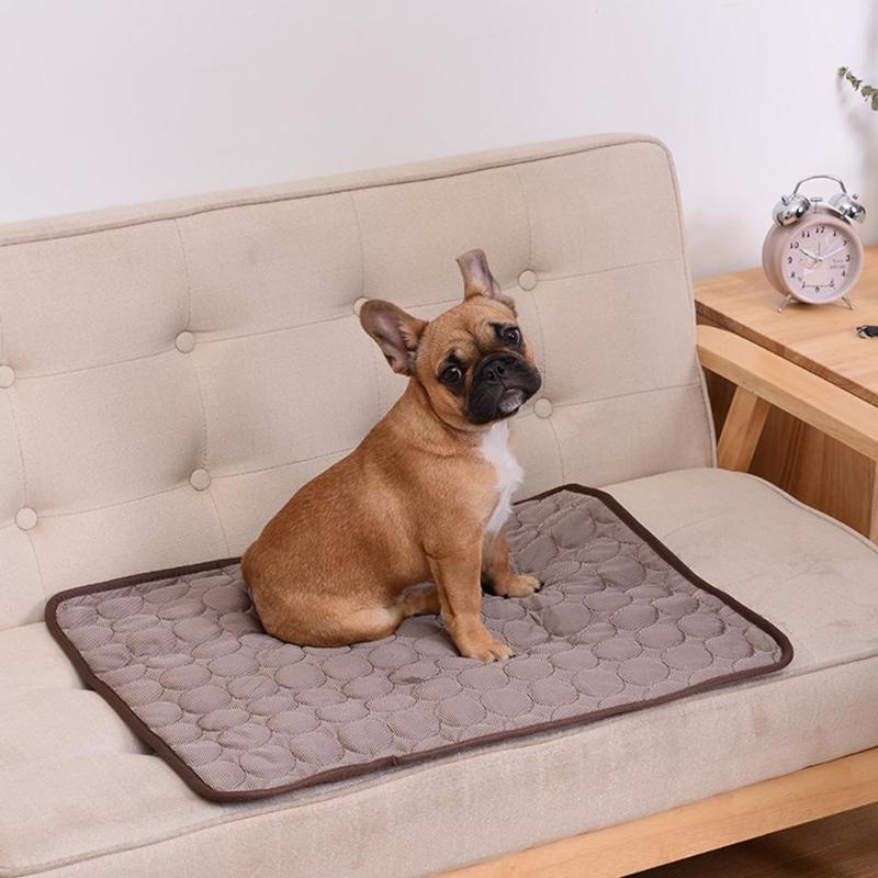 Dog cooling mat in summer