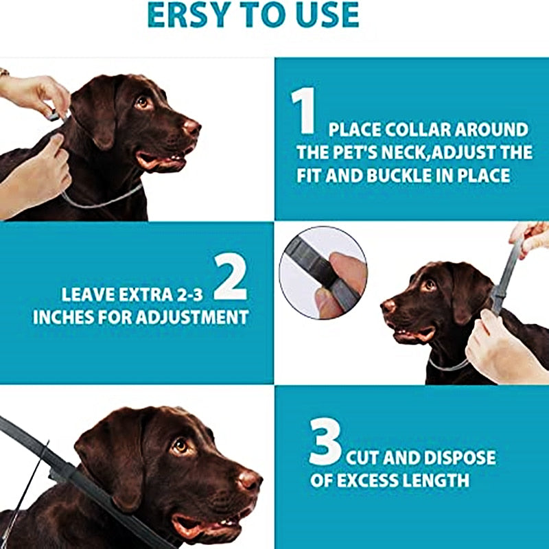 Extendable flea collar for pets